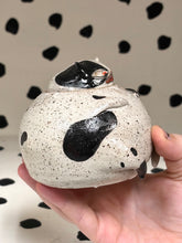Load image into Gallery viewer, Cat Jar
