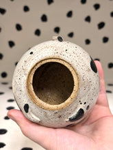 Load image into Gallery viewer, Cat Jar