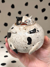 Load image into Gallery viewer, Cat Jar
