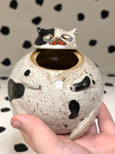 Load image into Gallery viewer, Cat Jar
