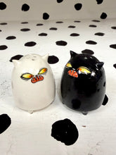 Load image into Gallery viewer, Salt and Pepper Shaker Set

