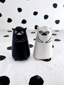 Salt and Pepper Shakers