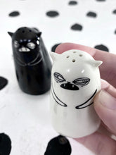 Load image into Gallery viewer, Salt and Pepper Shakers
