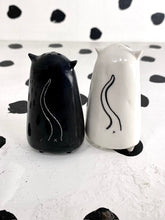 Load image into Gallery viewer, Salt and Pepper Shakers
