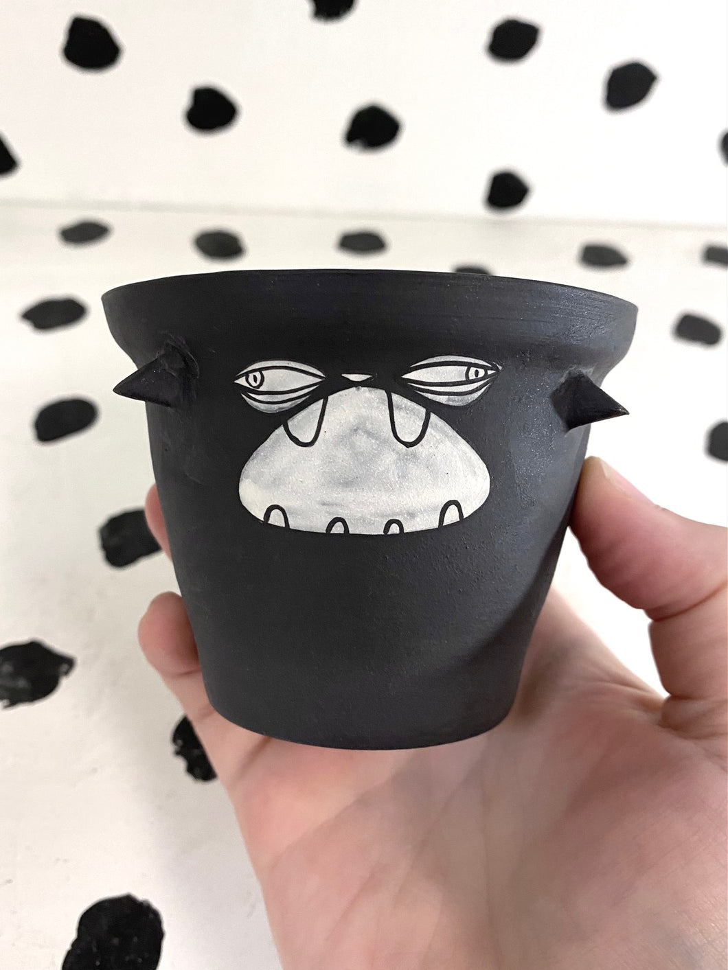 Black Cat Cup 2