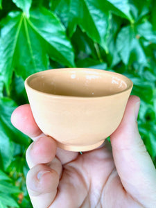 Tiny Orange Cup 2