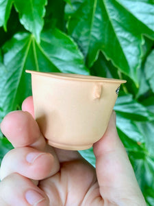 Tiny Orange Cup 3