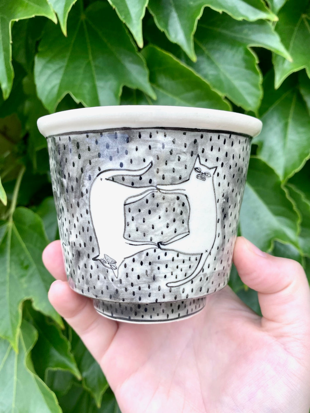 Weird Cat Cup