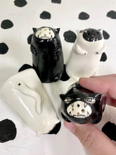 Load image into Gallery viewer, Salt and Pepper Shakers
