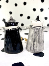 Load image into Gallery viewer, Witch Salt and Pepper Shakers
